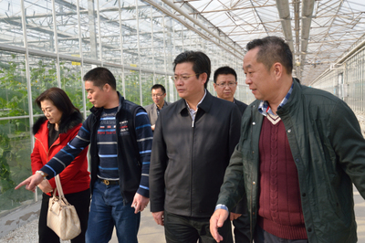 蔡邦银带队赴上海、江苏考察现代农业项目